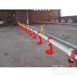 飼養(yǎng)專用設備環(huán)保機械喂養(yǎng)養(yǎng)殖水線——水資源專用機械設備制造